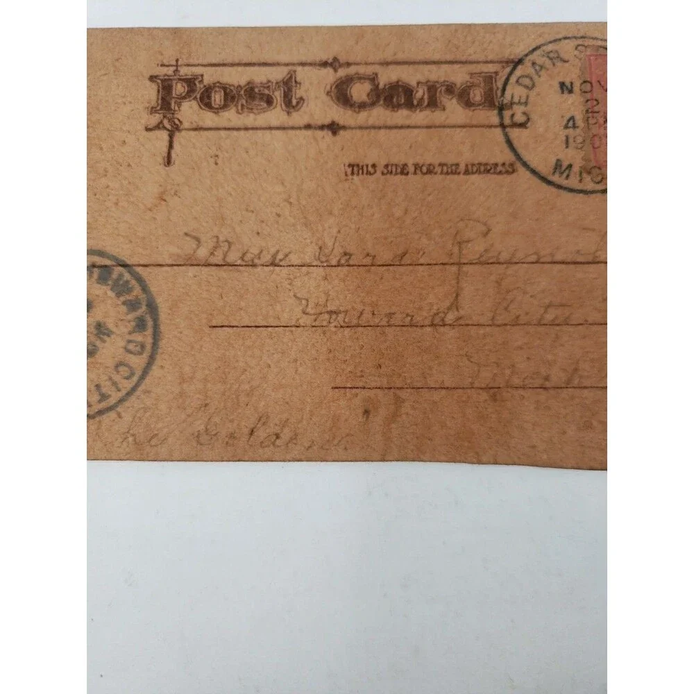 Antique Leather Postcard Mother Pin A Rose On Me Cedar Springs Michigan MI 1906